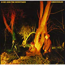Echo And The Bunnymen - Crocodiles (1980)