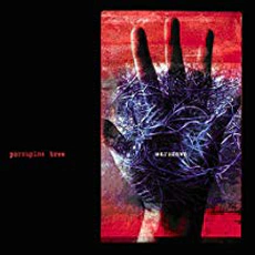 Porcupine Tree - Warszawa [Live} (2005)